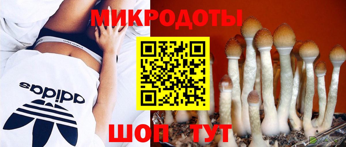 Галлюциногенные грибы мицелий Еманжелинск